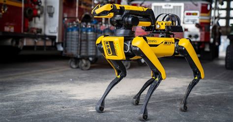 suzy cortez|boston dynamics robot dog.